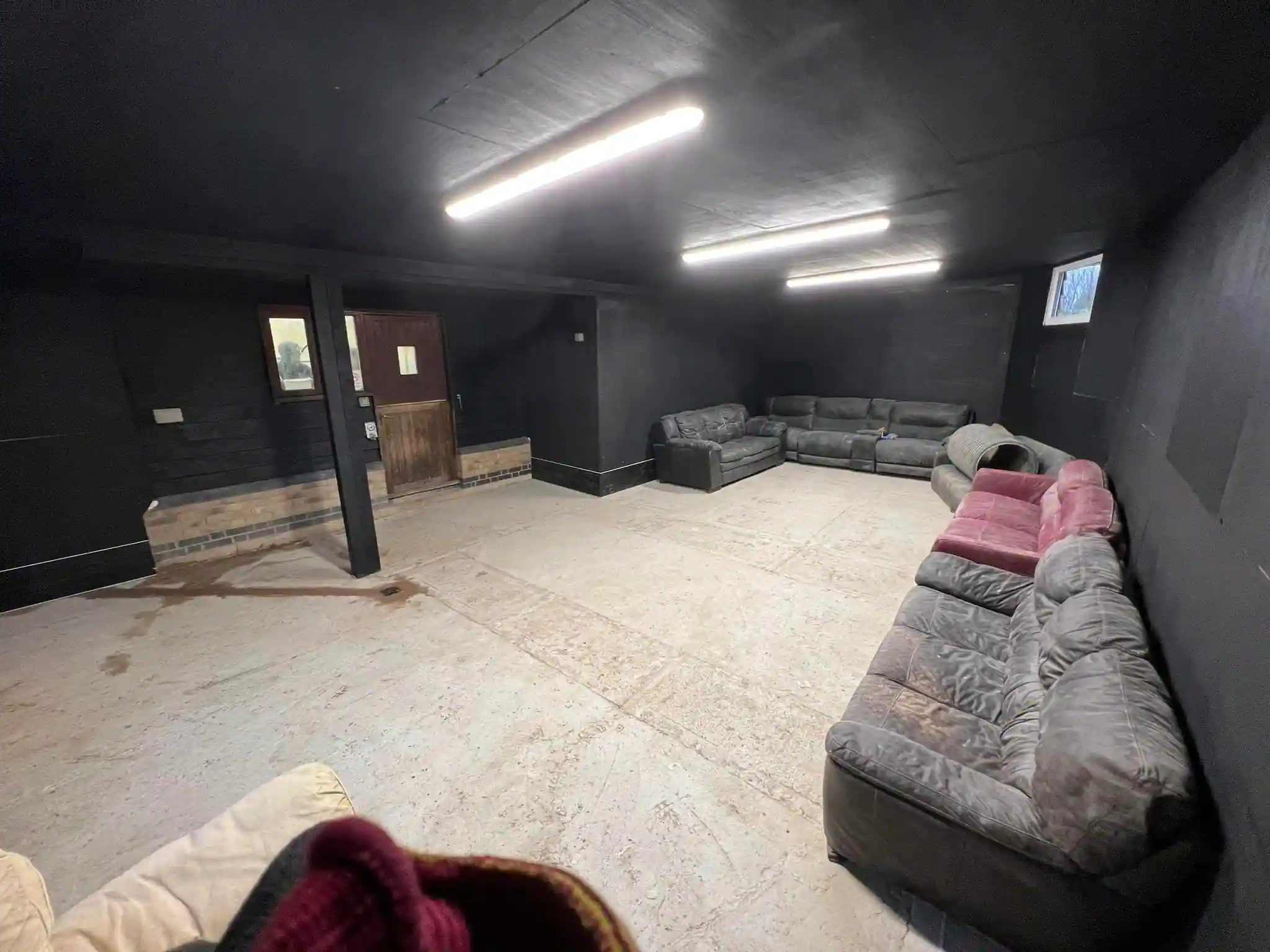 inside of new building for waggys dog centre