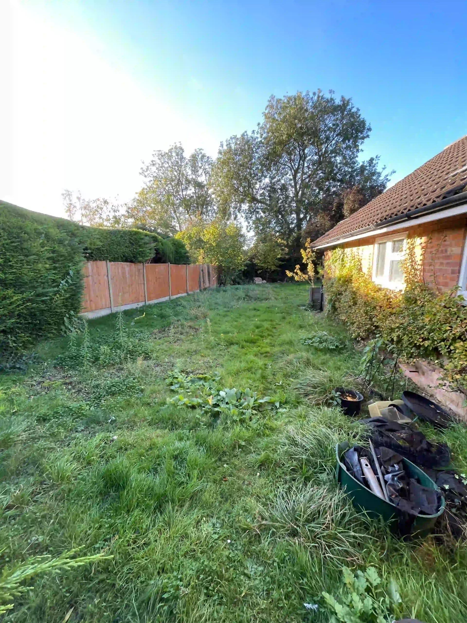 before picture of client paulas garden